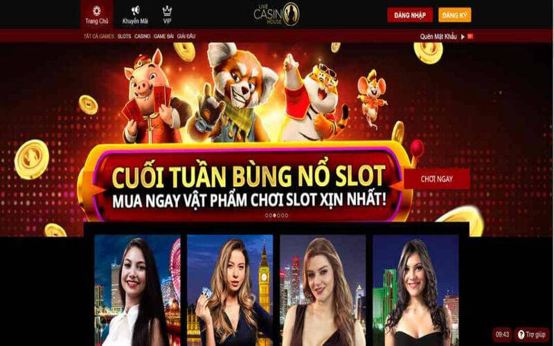Cách chơi live casino