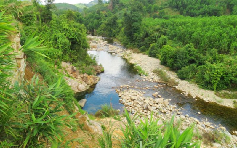 Mơ thấy tre bên bờ suối là lời nhắc cần tìm sự cân bằng trong cuộc sống