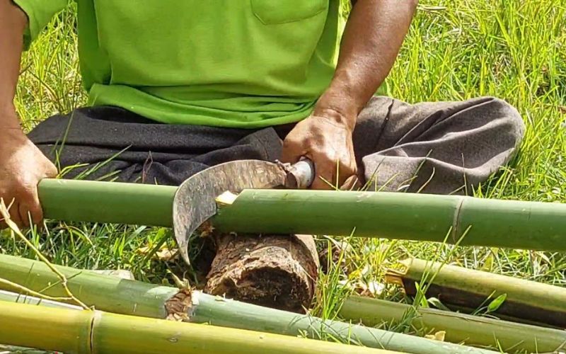 Mơ thấy đang chặt tre là dấu hiệu có cơ hội phát triển