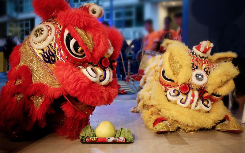 Mơ thấy mình gặp múa lân báo hiệu bạn có thời gian yên bình
