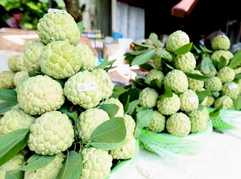 Mơ thấy mua rất nhiều na là điềm báo liên quan đến tài chính