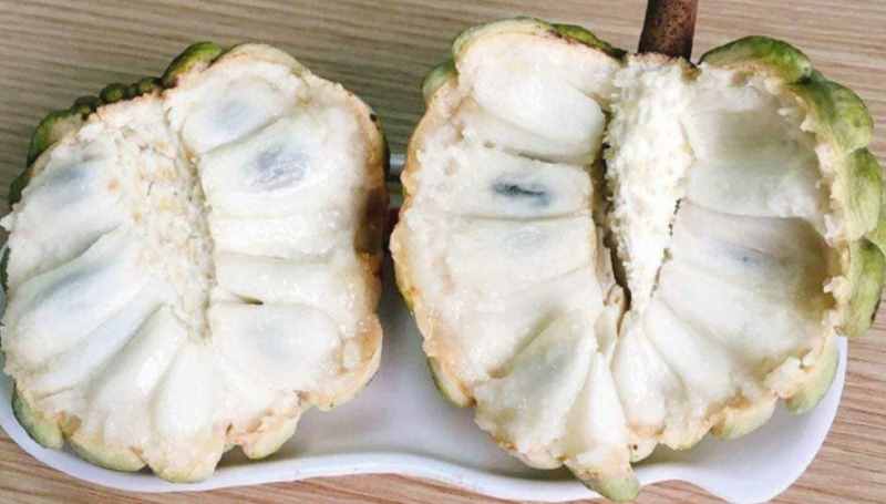 Mơ thấy quả na chín thơm có thể bạn sẽ nhận được tin vui