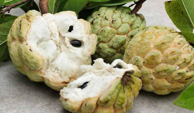 Mơ thấy quả na mở mắt đánh dấu cột mốc quan trọng sắp tới